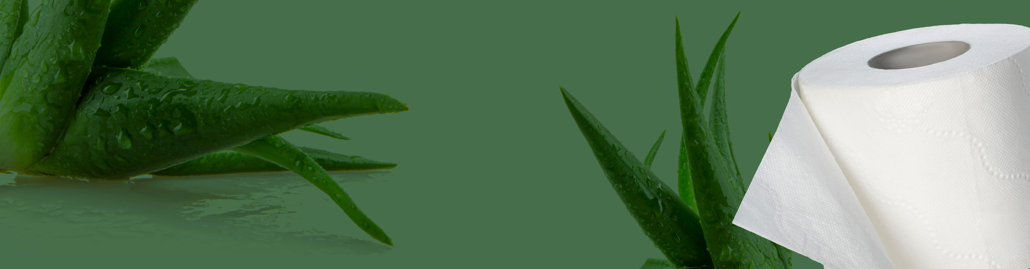 Splesh Toilet Roll Eco-Friendly, Soft &amp; Quilted, Aloe Vera (60 Rolls)